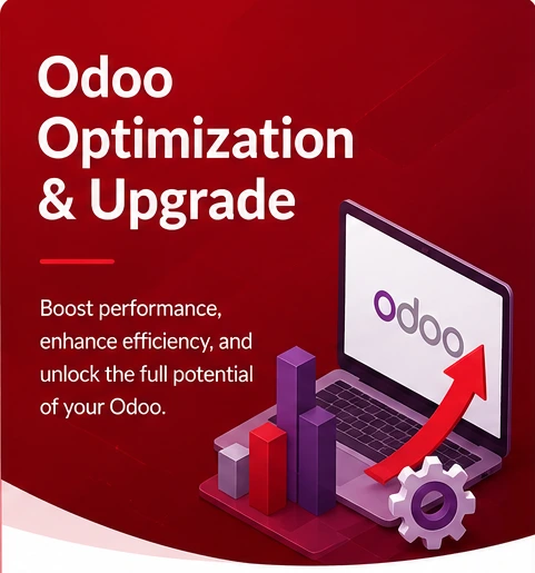 Odoo Optimization Service